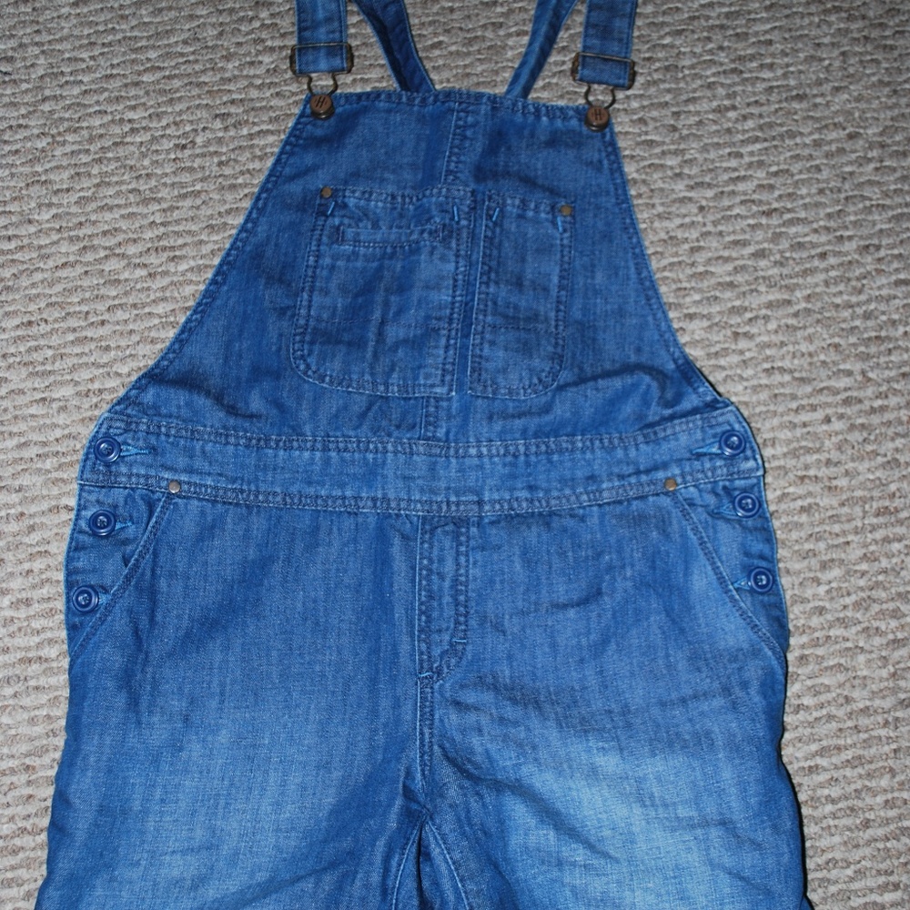 Anthropologie Holding Horses Overall Jumper